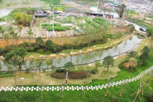 溫州森馬學校東邊沉木橋支河護岸景觀（一期）工程